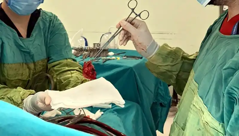 Kalp Kapağı Çürümüş Olan Hasta, 7 Saatlik Ameliyatla Hayata Döndürüldü