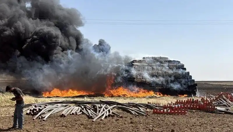 Mardin'de Kontrol Altına Alınan Anız Yangını, Tarım Arazilerini Tehdit Etti