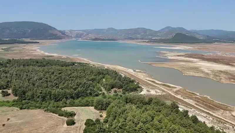 İzmir'de Tehlike Çanları Çalmaya Başladı: Yüzde 50'lik Düşüş Neyi Gösteriyor?