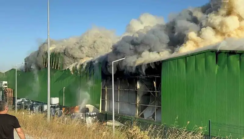 Balıkesir'de Fabrika Yangınında Yaşanan Trajedi: 2 İşçi Hayatını Kaybetti, 1 Kişi Tutuklandı
