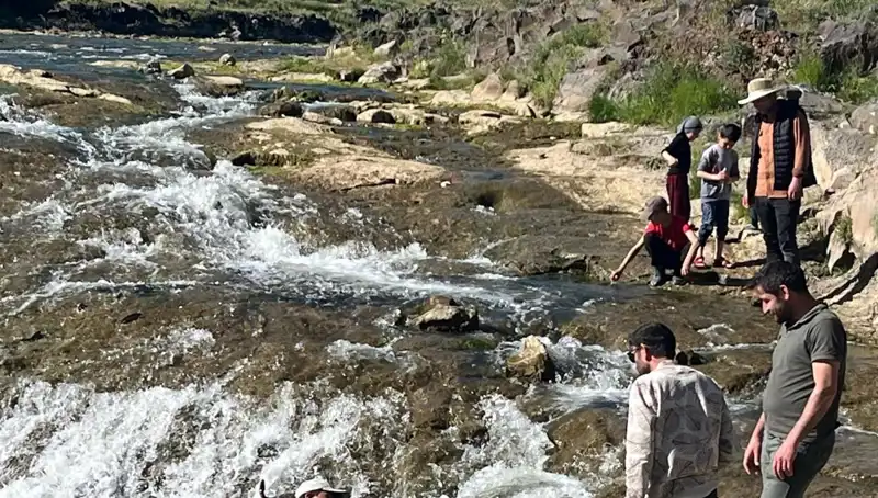 İnci Kefalinin Göçü: Turistlerin Gözdesi Olan Doğa Olayı