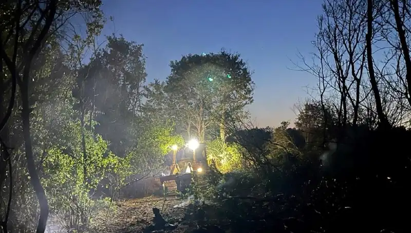 Edirne’deki Orman Yangını Kısa Sürede Kontrol Altına Alındı