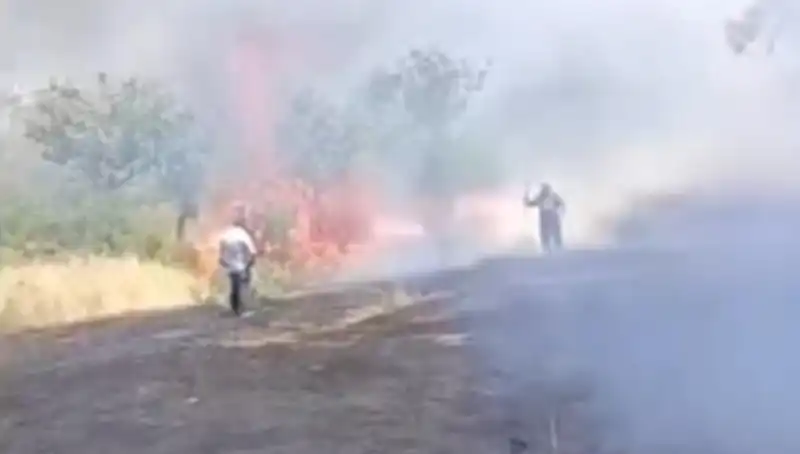 Çay İçin Yakılan Ateş, Fıstık Ormanını Tehdit Ediyor!