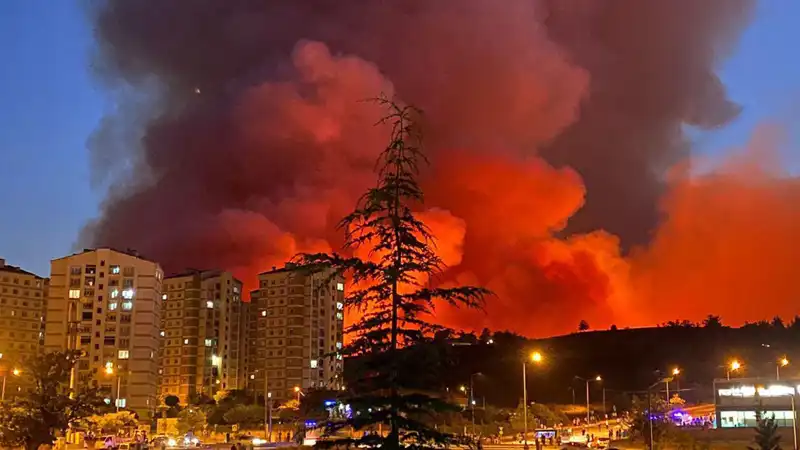 Bursa'da Yangın Alarmları: Şehri Saran Alevlerin Nedenleri ve Sonuçları