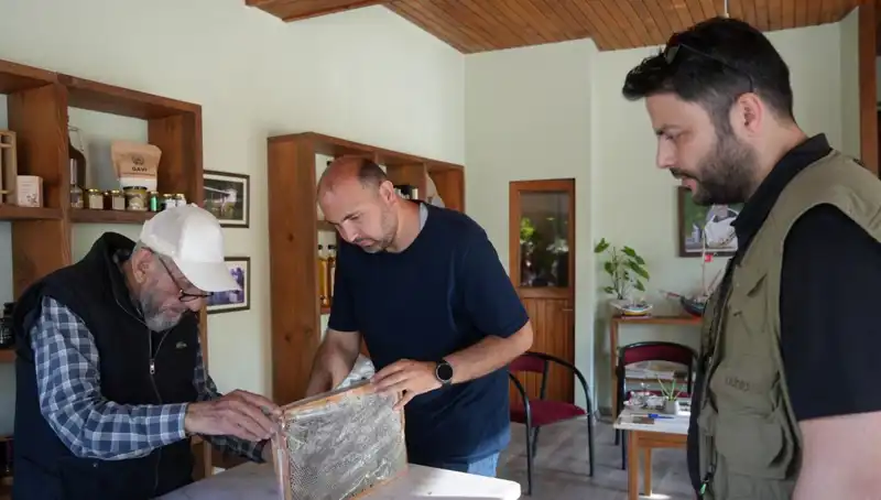 En Az Bir Çay Kaşığı Yeter: Şifalı Bitkilerin İnanılmaz Faydaları ve Riskleri