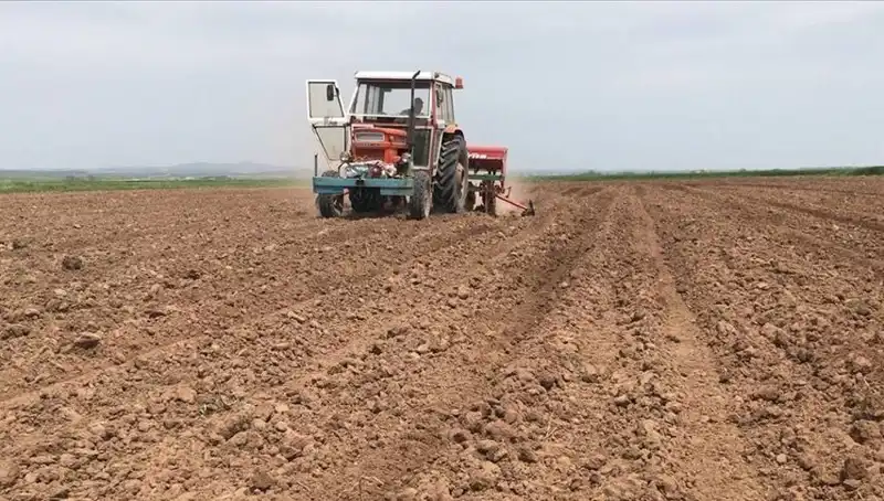 Son 35 Yılda Görülen En Kurak Mart Ayı: Yağışlarda Tarihi Düşüş