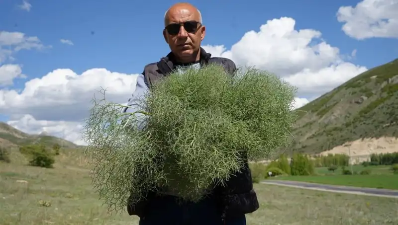 Doğanın Protein Deposuna Ulaşmak İçin 15 Kilometre Yürüyenler