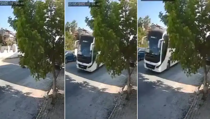 Yolda Yatan Köpeği Ezip Geçen Sürücü Şok Yarattı