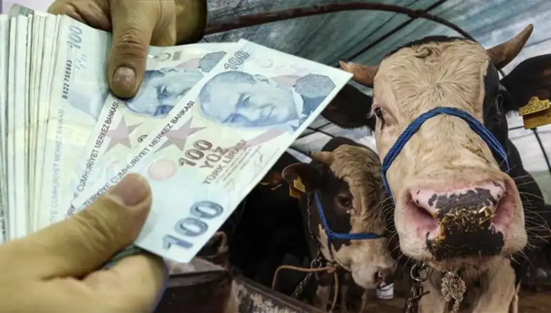 Kurban Bayramı Öncesi Emekli ve Memur Maaşları Ne Zaman Ödenecek?