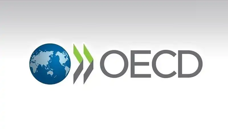 Türkiye’nin Ekonomik Geleceği: OECD Büyüme Tahmini Nedir?