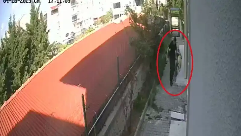 Veteriner Doktorun Şok Edici Eylemi: Köpeklerden Birini Parçalarken Yakalandı