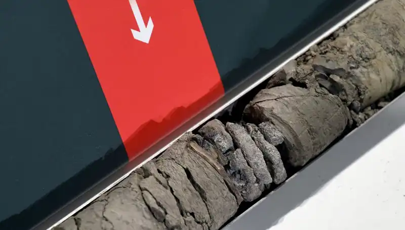 Dinozor Fosilleri, Müze Otoparkında Keşfedildi: Tarih Yeniden Yazılıyor!