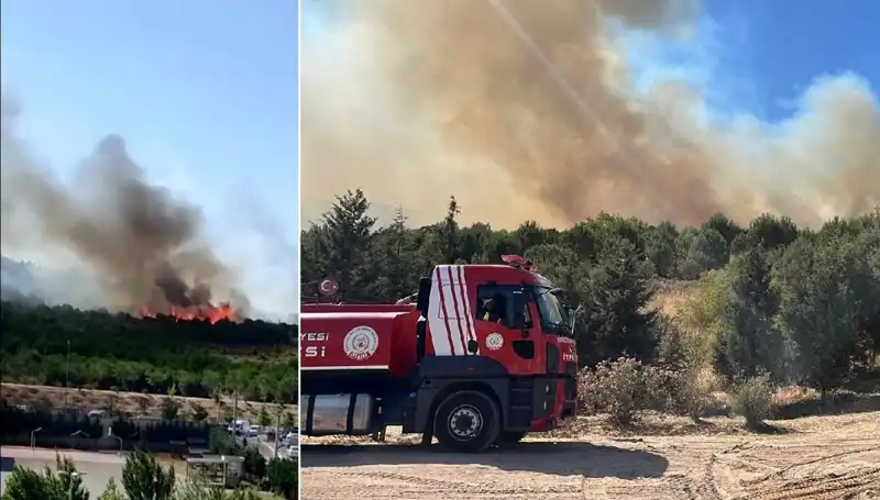 Gebze'de Orman Yangını: Doğa Koruma ve Yangın Mücadele Stratejileri