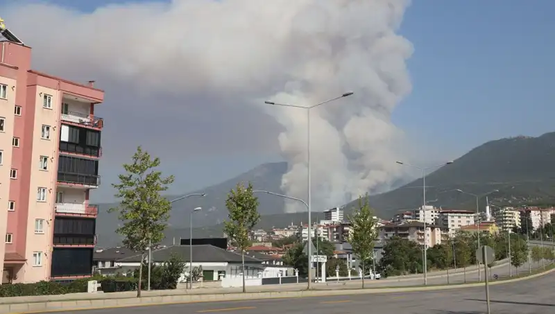 Denizli'deki Orman Yangını: Şüpheli Gözaltında, Yangının Nedeni Araştırılıyor
