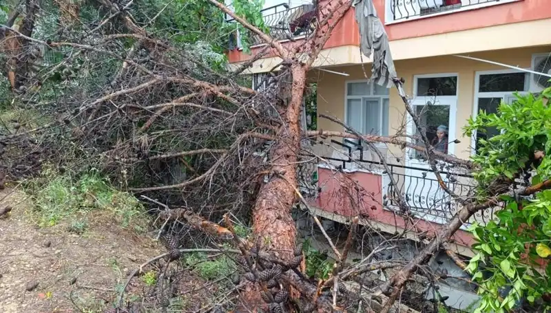Yağmur Sonrası Bina Çöktü: Olay Yerinde Korku Dolu Anlar