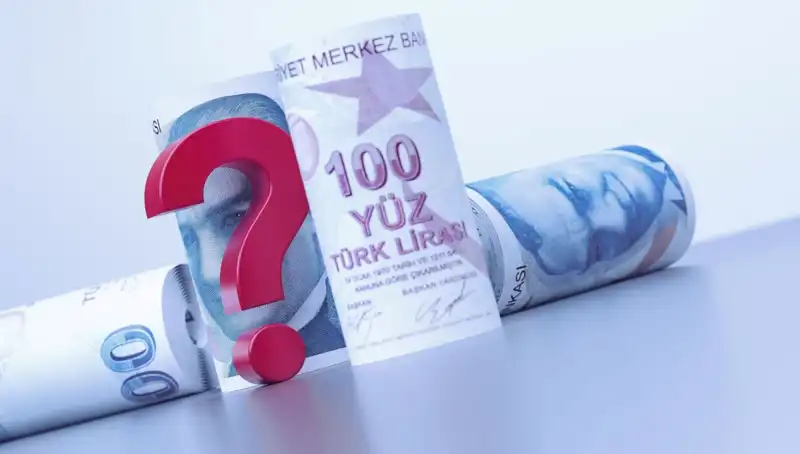 2025 Yılı İçin Memur ve Emekli Maaşlarını Şekillendiren Enflasyon Farkı Nedir?
