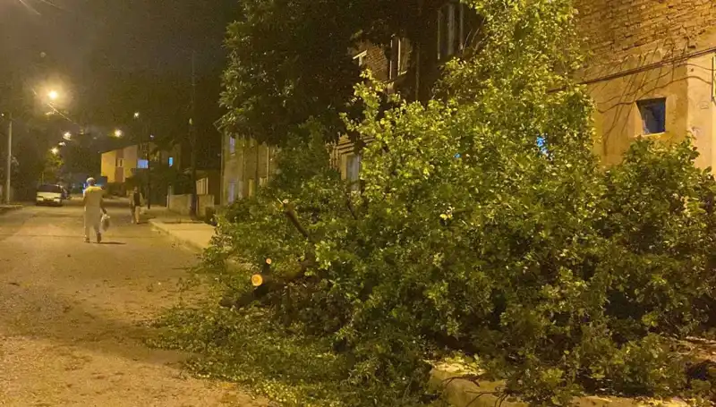 Karabük'te Fırtına: Şehirde Yaşanan Zorluğun Ardındaki Gerçekler