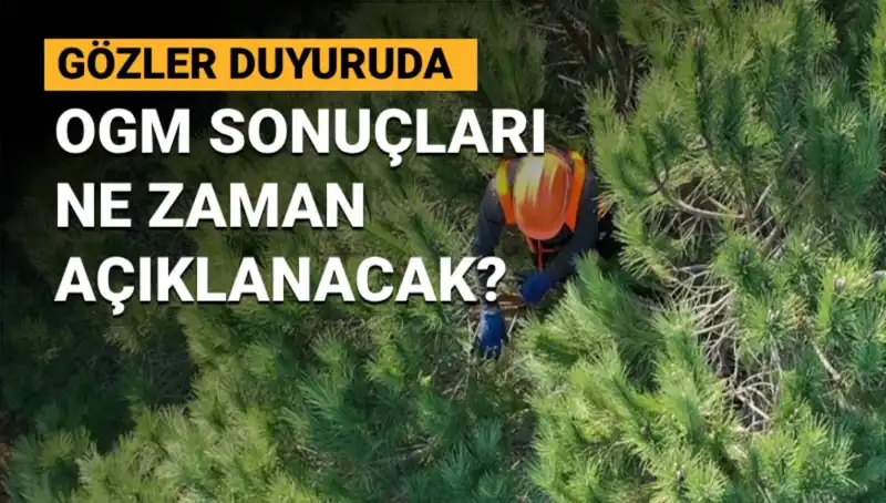 OGM Personel Alımı Duyurusu: 3 Bin 477 Sözleşmeli Pozisyon için Sonuçlar Ne Zaman?
